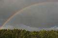 zregenboog